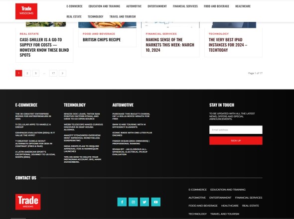 WordPress Auto  Blog Website