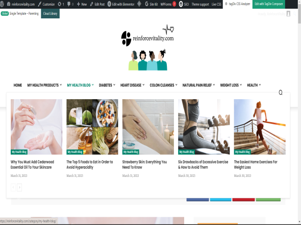 news website autoblog