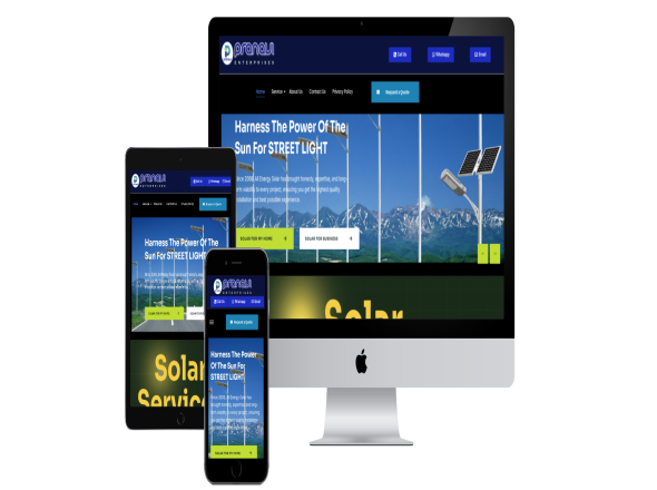 pranavienergy.com