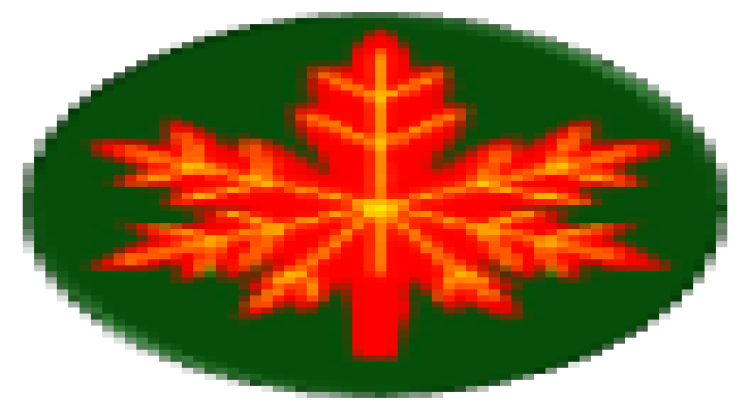 i can design high level of monogram design